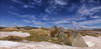 Near Seamans Hut - Kosciuszko NP - NSW T (PBH4 00 10514)